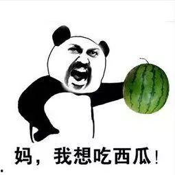 吃瓜网永不,吃瓜网永不的秘密大公开