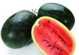 吃瓜黑料网84u,吃瓜黑料网的秘密与真相