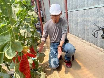 网红地打卡吃瓜,揭秘热门吃瓜圣地