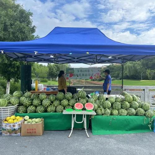潮阳群众吃瓜网,揭秘潮阳本土热点事件，带你领略潮阳生活百态