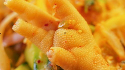 网红吃鸡瓜,吃鸡瓜大作战！