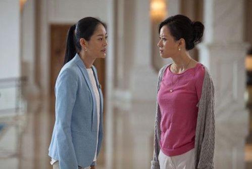 吃瓜网回家的路莫里秀,莫里秀回家路背后的感人故事