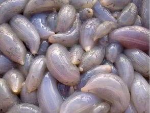 秦皇岛吃瓜网最新消息,最新热点事件深度解析