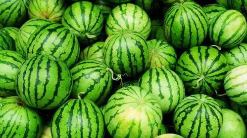 吃瓜黑爆网料网地址,独家爆料，带你探秘网络八卦世界