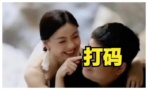 吃瓜视频网红的老板是谁