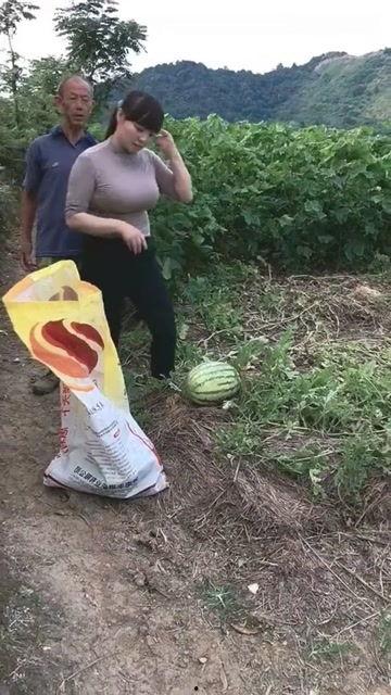 红领巾吃瓜网回家的路,探寻回家的路，揭秘网络世界的温暖角落