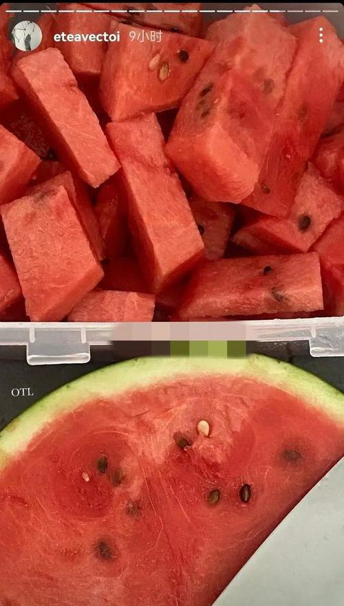 善堂网红吃瓜事件,揭秘网络舆论背后的真相与争议