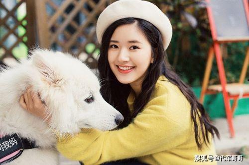 往期内容-吃瓜明星网红校园,吃瓜明星与网红的跨界传奇