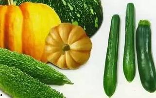 武陟网红吃瓜详情,揭秘背后真相与网络热议