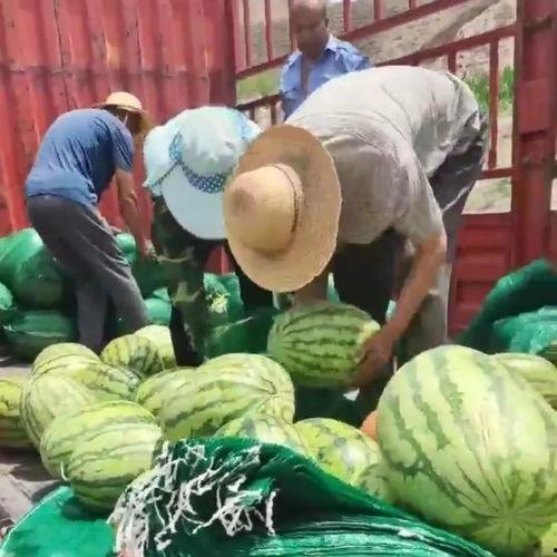 江西网红吃瓜事件,揭秘网络舆论背后的真相