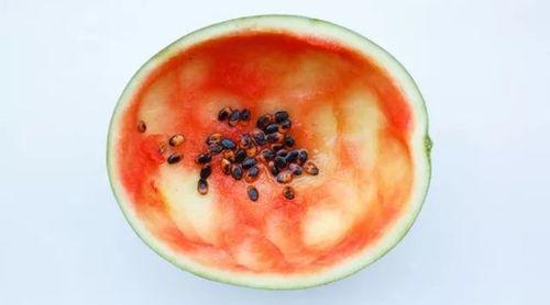 网红吃瓜勺子图片大全