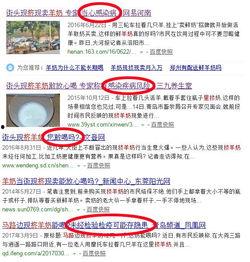 爆料网吃瓜大连外国语推特