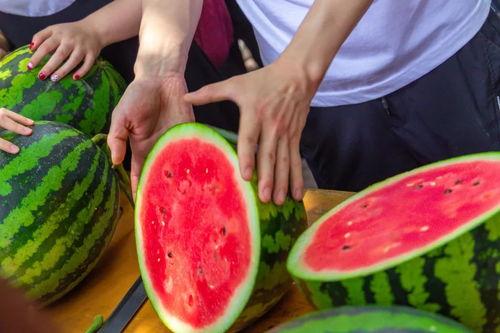 云南大学吃瓜网