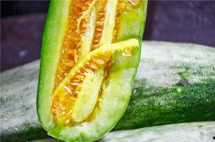 网红吃瓜猛料投稿平台有哪些,热门平台大盘点