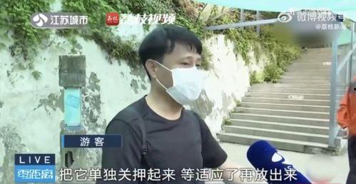吃瓜网红帅哥是谁啊