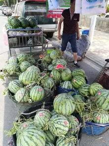 成县网红吃瓜事件