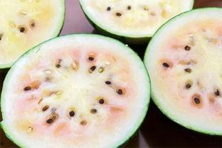 武都吃瓜网红事件真相揭秘