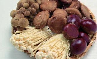 吃瓜网曝揭秘黑料蘑菇在线