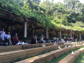 吃瓜网钟山,揭秘吃瓜网背后的故事与影响力